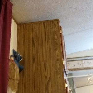 Meet your Posher, Tabitha